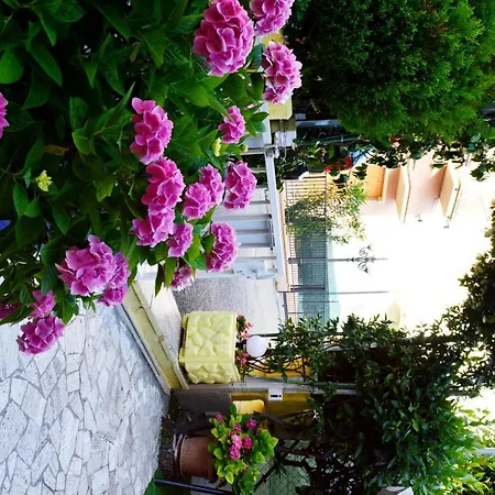 Maison d'hôtes New Cirene Single Half Rimini
