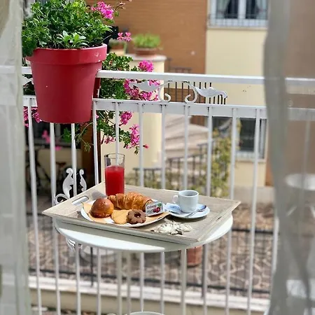 New Cirene Single Half Rimini